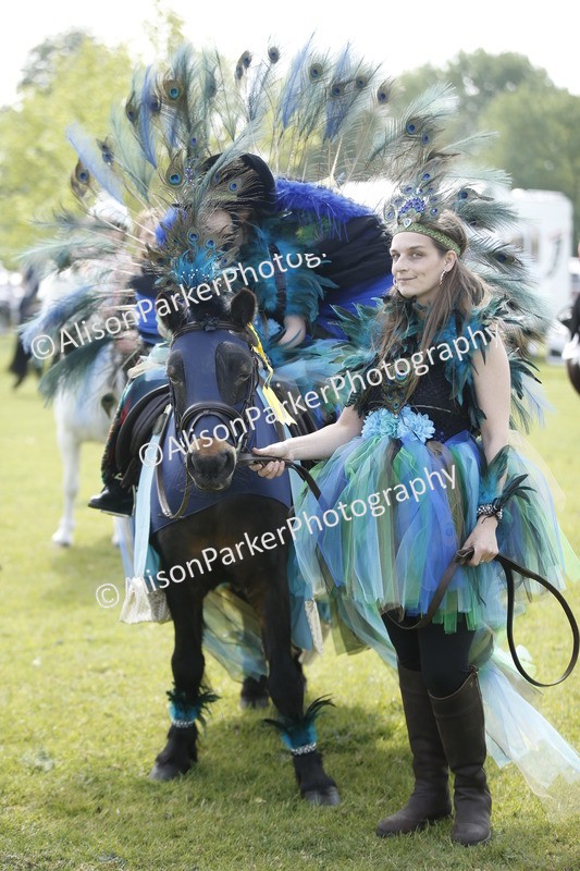 20260426-1400 - Class 6 - Fancy Dress