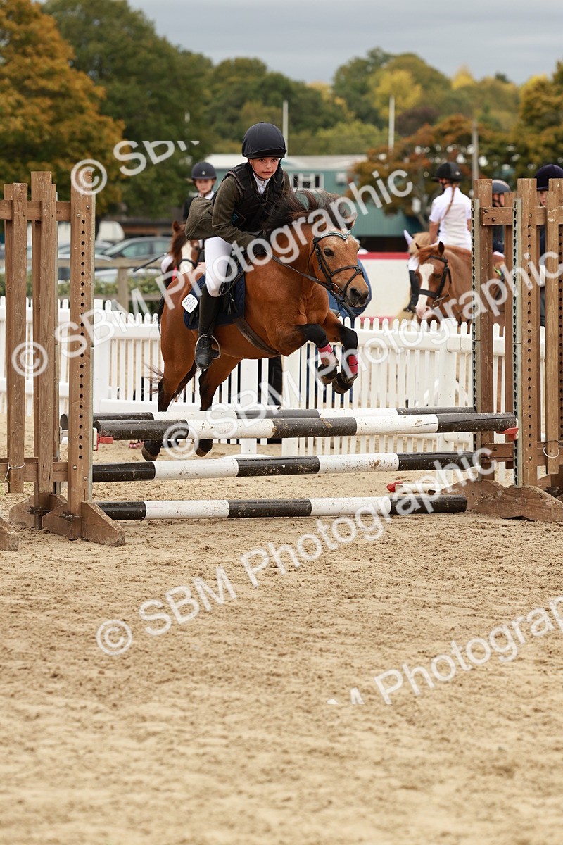 SBM_67021 - J13 - Junior Pony 60cm Championship