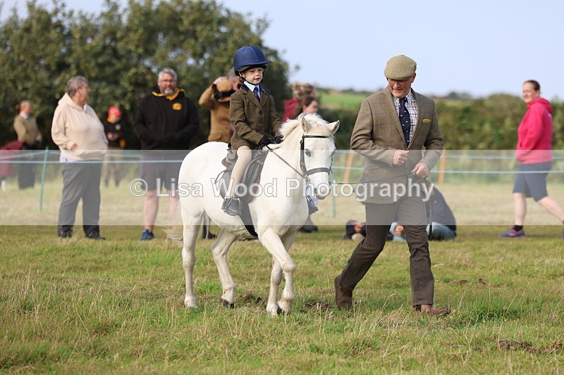 3E7A3700 - Class 2: Lead rein