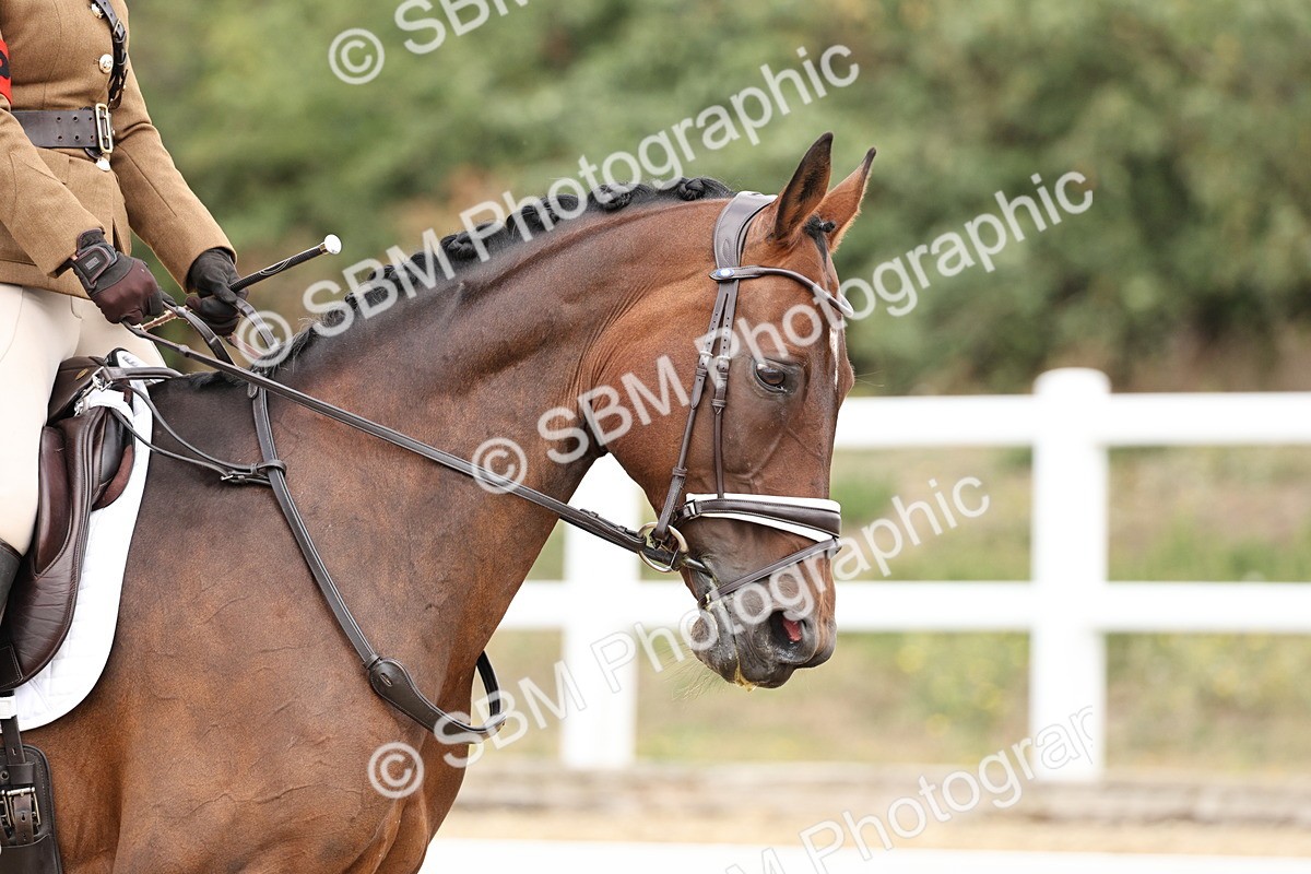 SBM_018290 - Class 16 - Novice 5 - 11.12-12.01