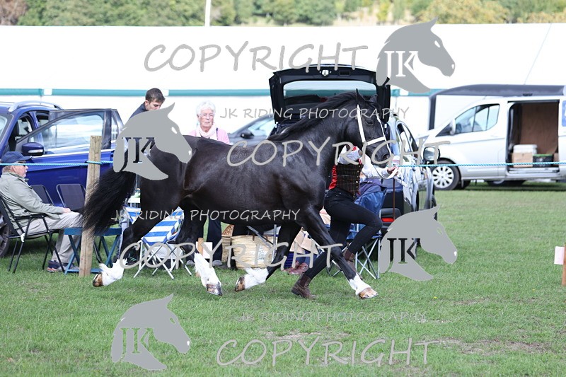 APP_2797 - Class 10a/b M&M in hand