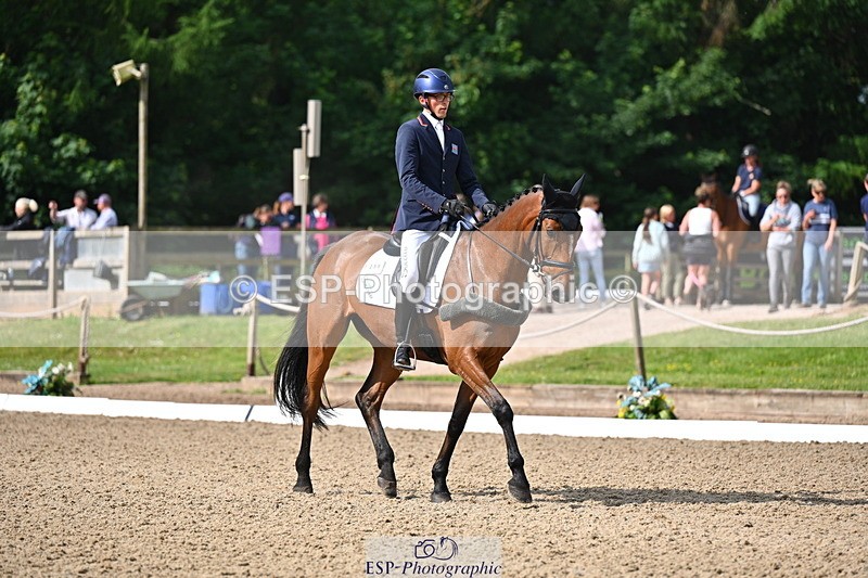 250523A-093940-05293 - C-258-Bill.Levett-ITALIAN.HARLEQUIN.NJ