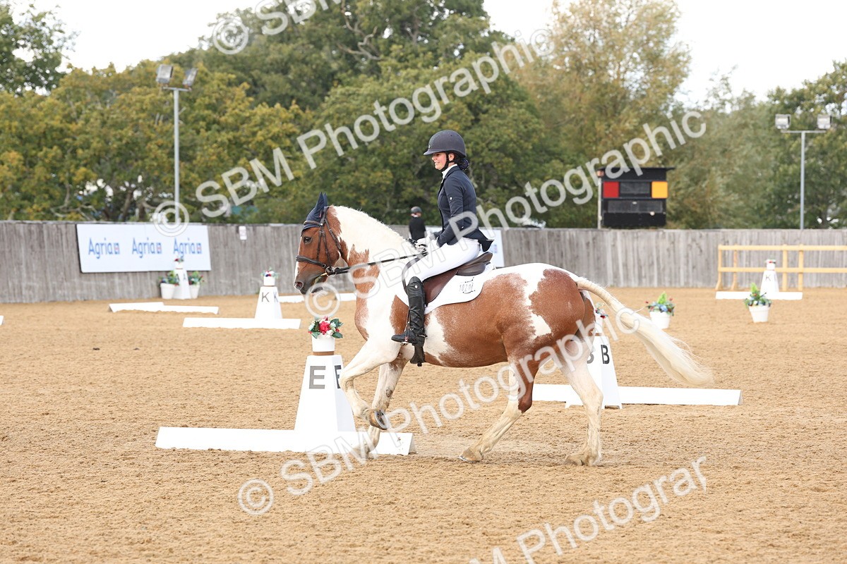 SBM_47473 - D12 - Small Tour Championship prelim 2