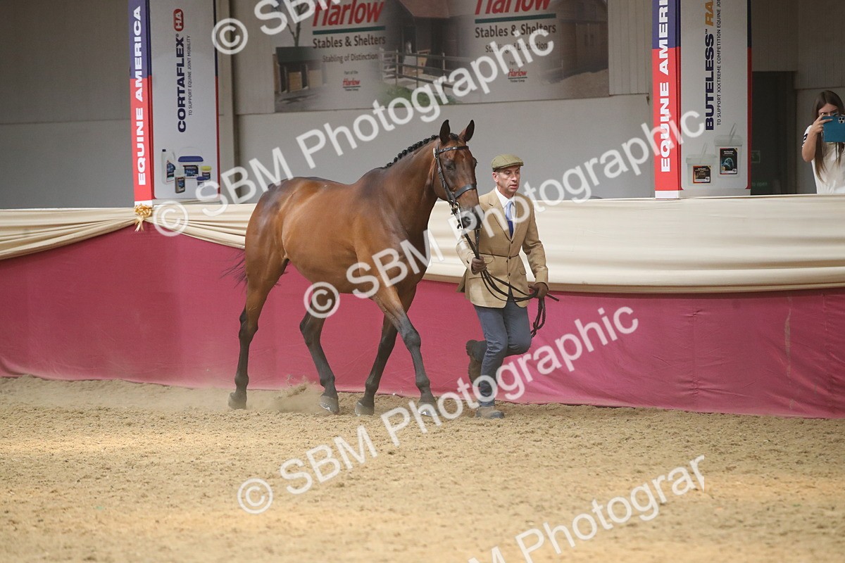 SBM_05522 - Class 9R - Regional IH Pre-Vet