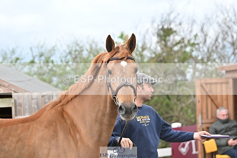 250423-123115-00306 - 12 to 1pm