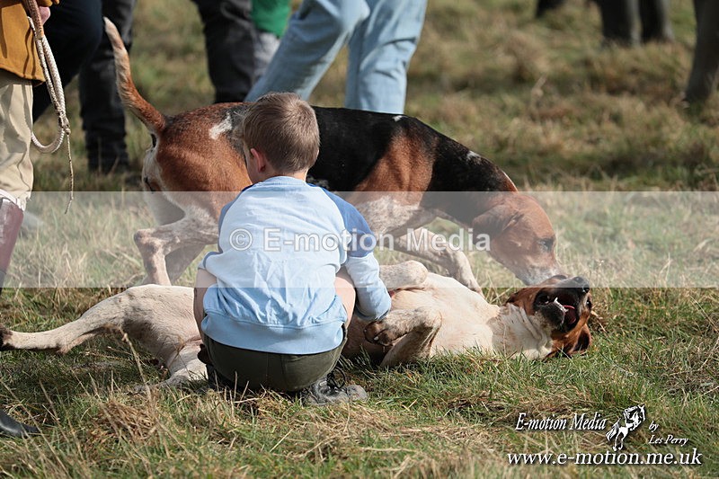 PtP 220225 362 - Kimblewick Point-to-Point  Kingston Blount 22/02/25