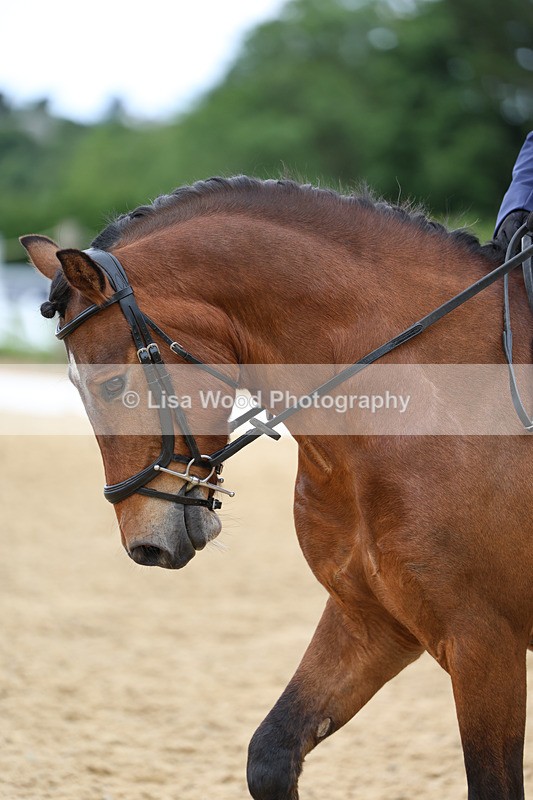 3E7A9544 - Class 2: Intro 1 2024 Section B