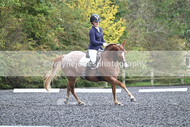 WJ7_3764 - Time 11:04 to 11:38