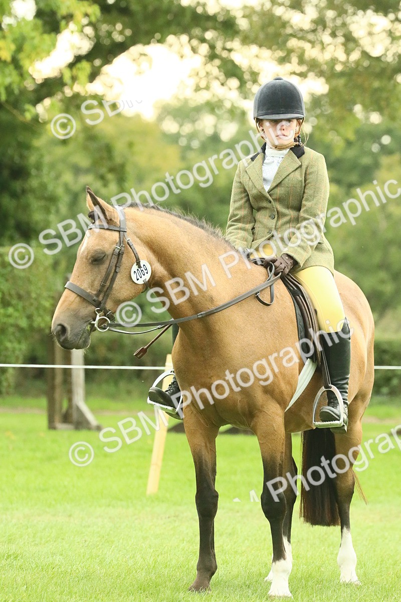 SBM_74028 - S 61 - Show Pony & Show Hunter Pony Ridden