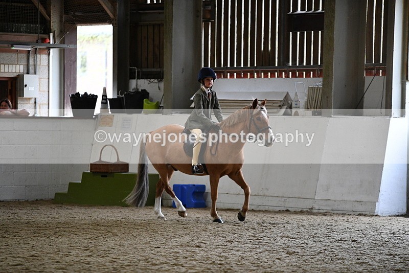 WJ5_6799 - Class 10 Childs Pony
