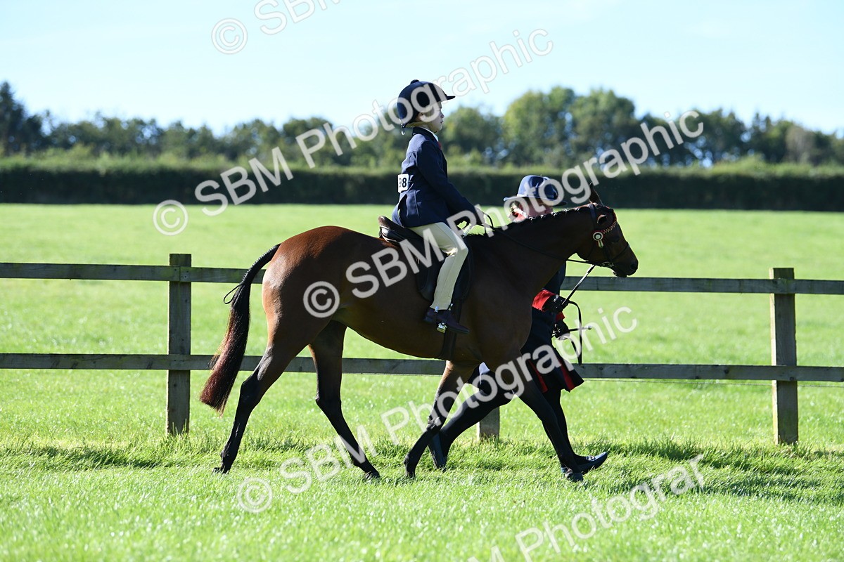 SBM_36804 - S18 - Novice & Newcomers Lead Rein Pony