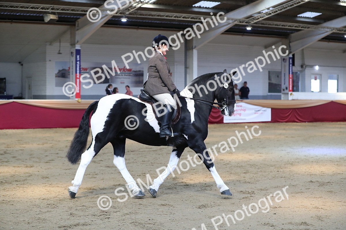 SBM_02915 - Class 6a Area Ridden Pre Vet