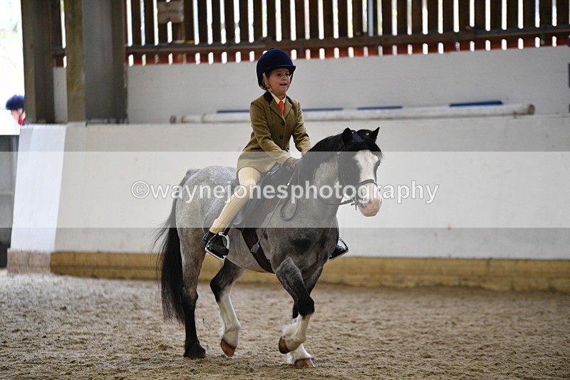 WJ5_6886 - Class 10 Childs Pony