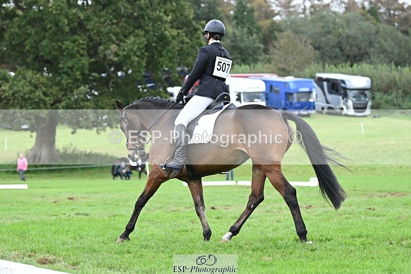 231020-154002-11240 - 507-EDGEDALE.BLUE.LADY-Katie.Lavin-DR