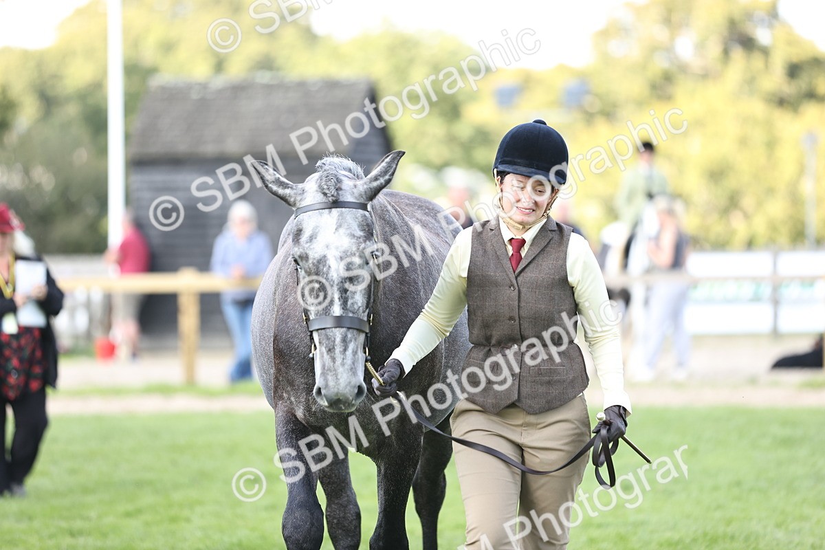 SBM_26267 - S5 - Novice & Newcomers In Hand