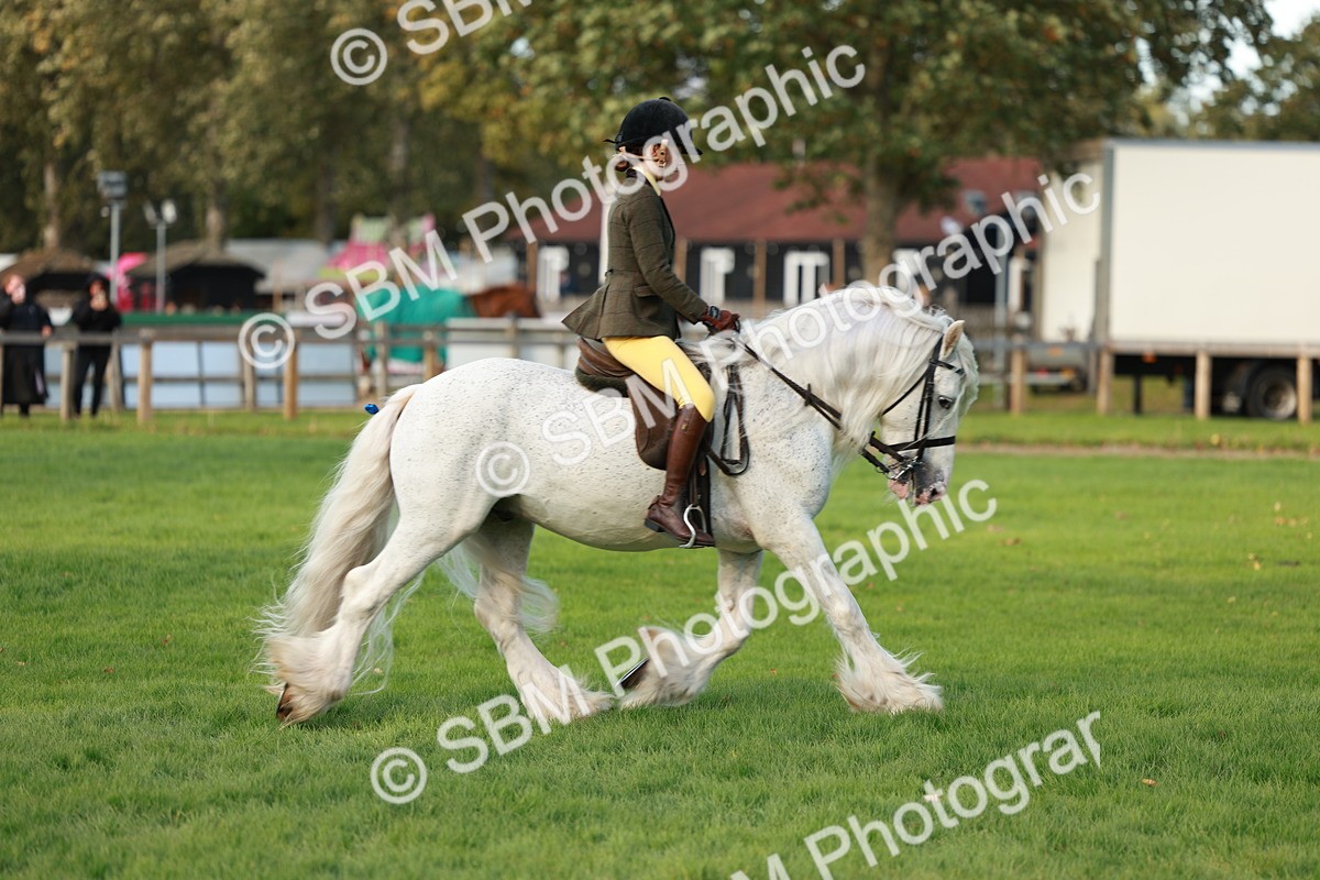 SBM_28820 - S7 - Novice & Newcomer Ridden Pony