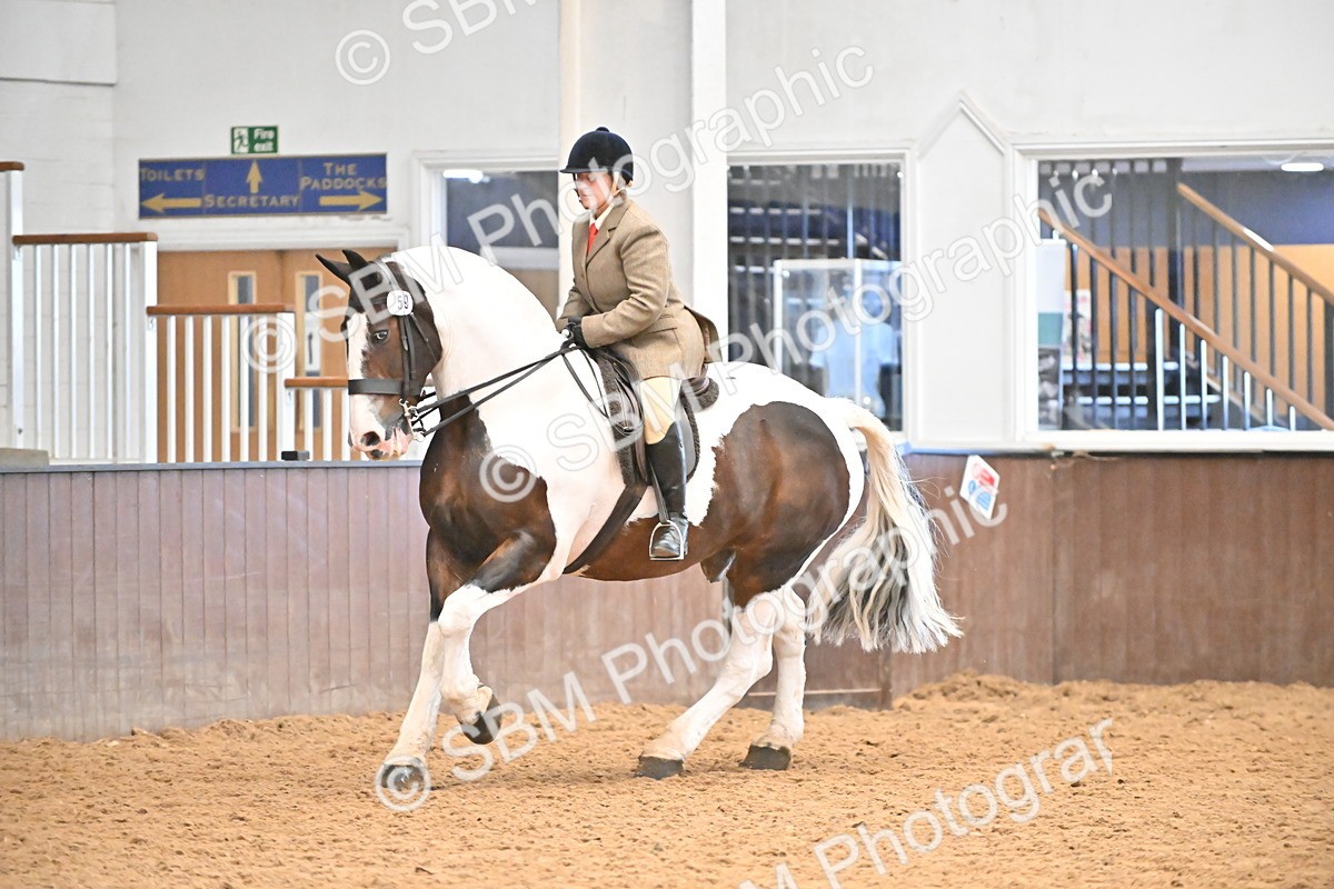 SBM_002726 - Ridden Showing Supreme Championships