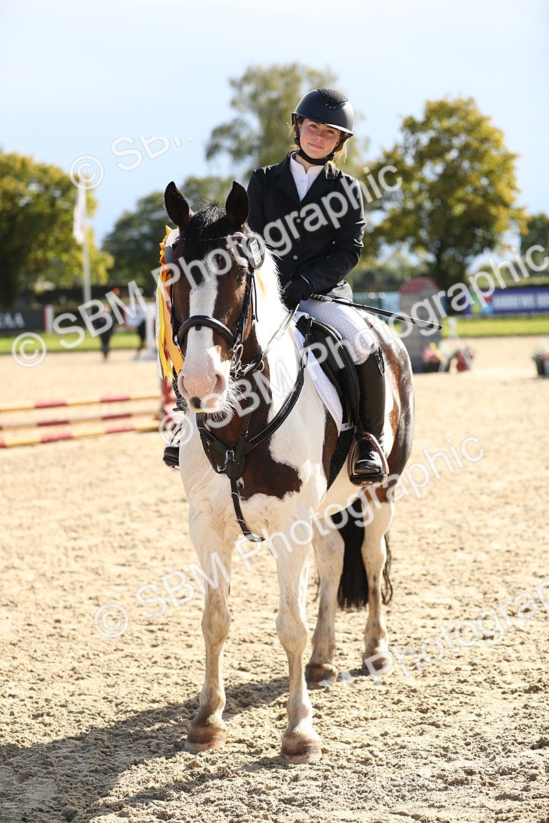SBM_37369 - J20 - Junior Horse 50cm Championship