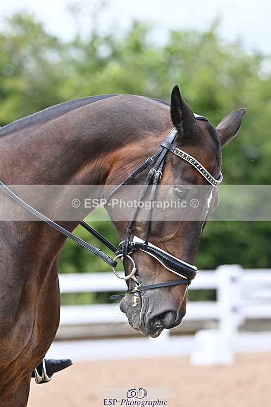 240622A-130030-10322 - Cls 30 BD Elementary 53