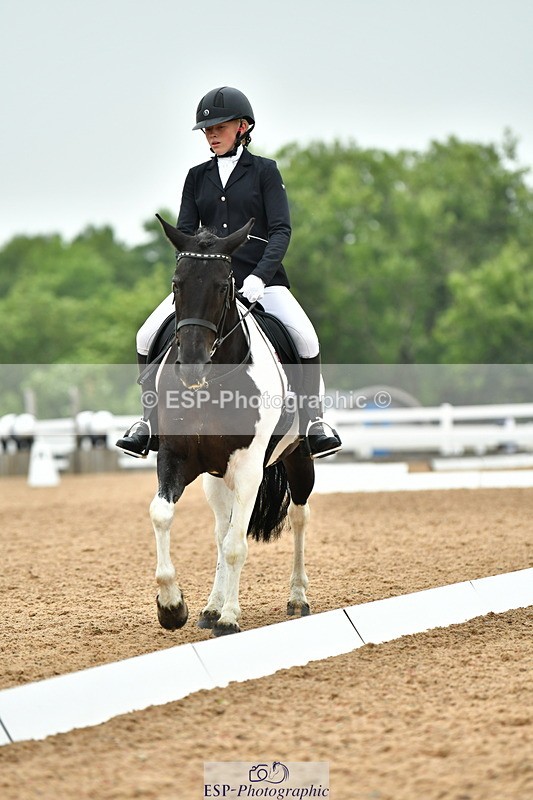 230708A-120139-02691 - Prelim 13