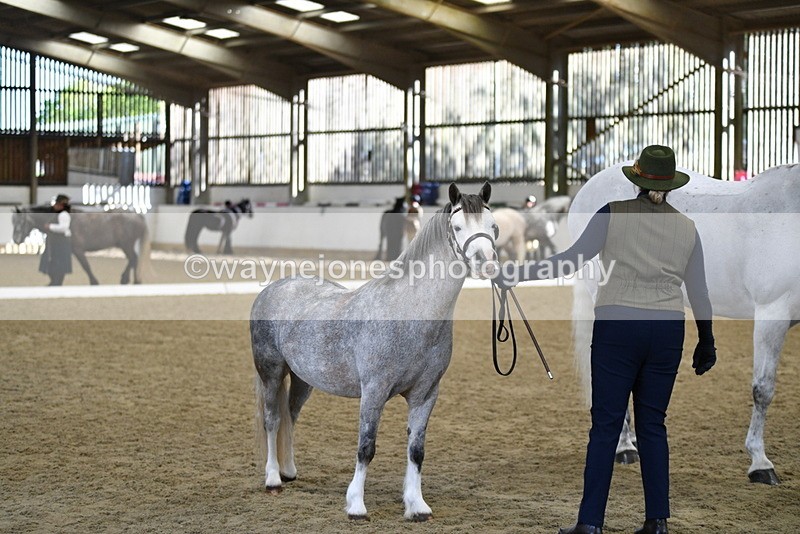 WJ5_4075 - Class 2 Best Condition In hand