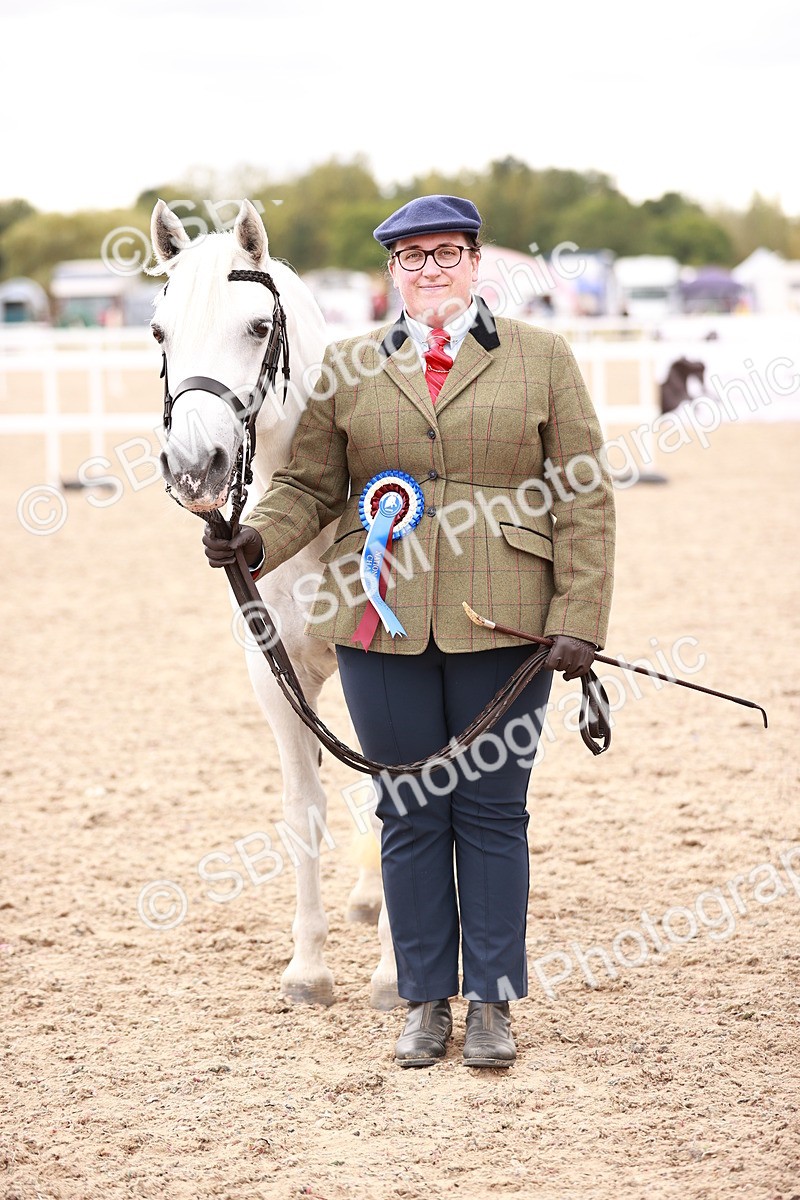 SBM_16145 - Class 411 - Prettiest Mare - (IH or Ridden Adult)