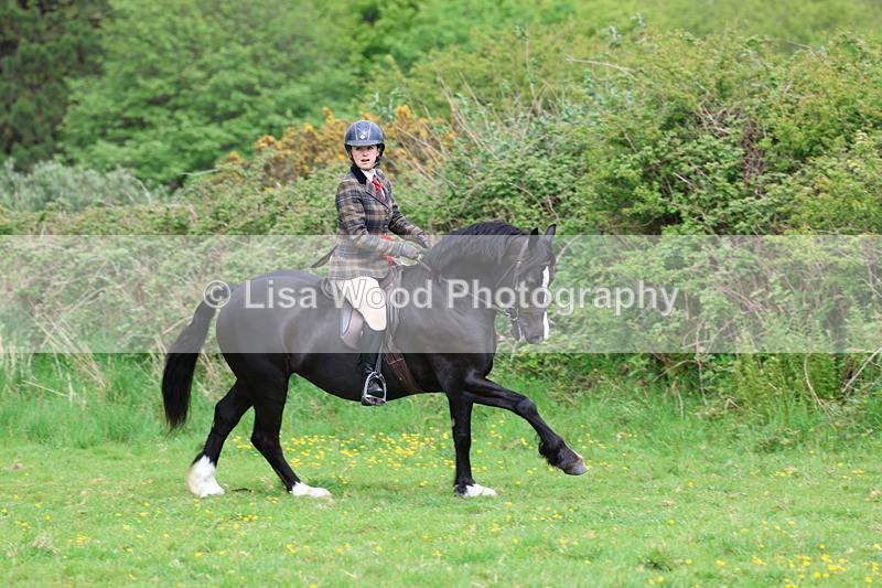 3E7A2200 - Ridden Championship