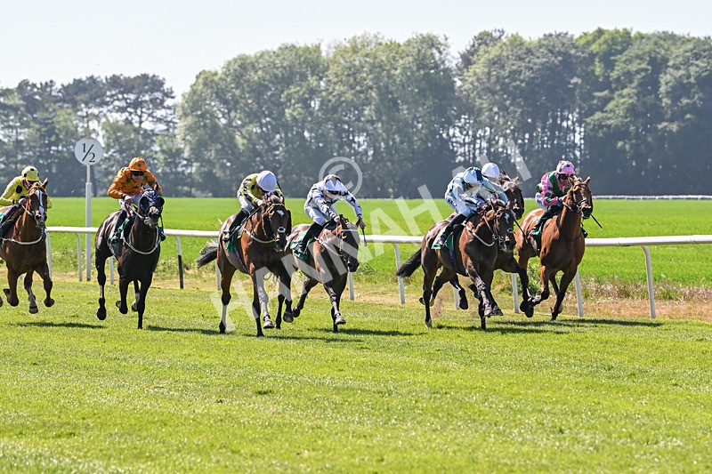 170525-Race 4-Hallelujah U-8294 - Race 4