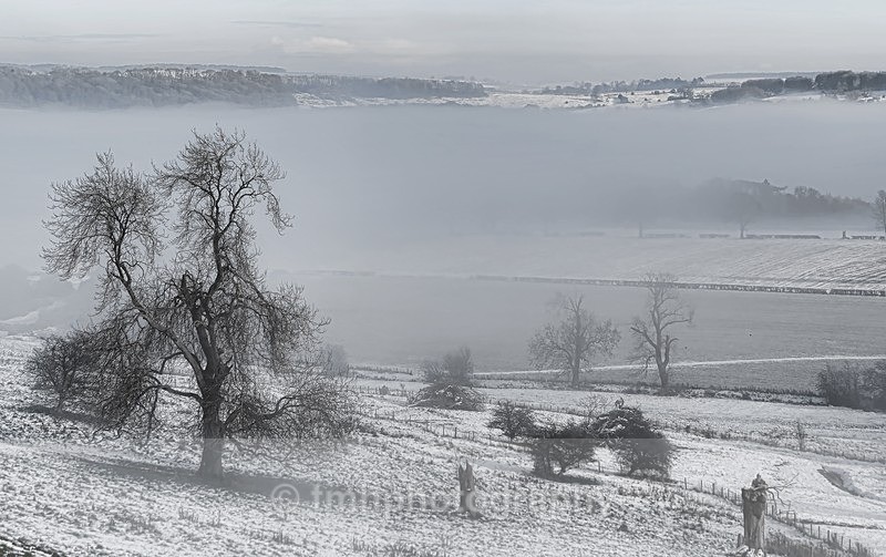 Standing in the Cold. - Snow Scene's /Winter
