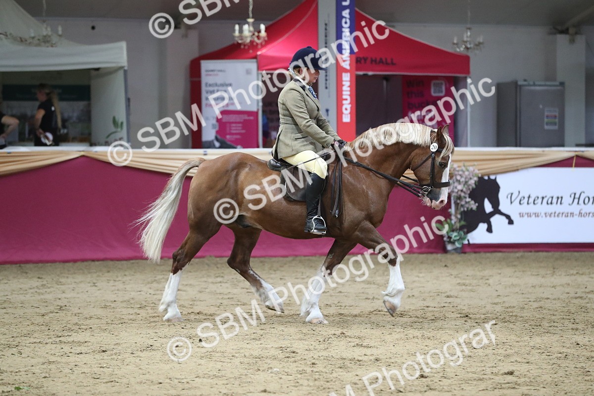 SBM_08412 - Class 11R Regional Ridden Veteran