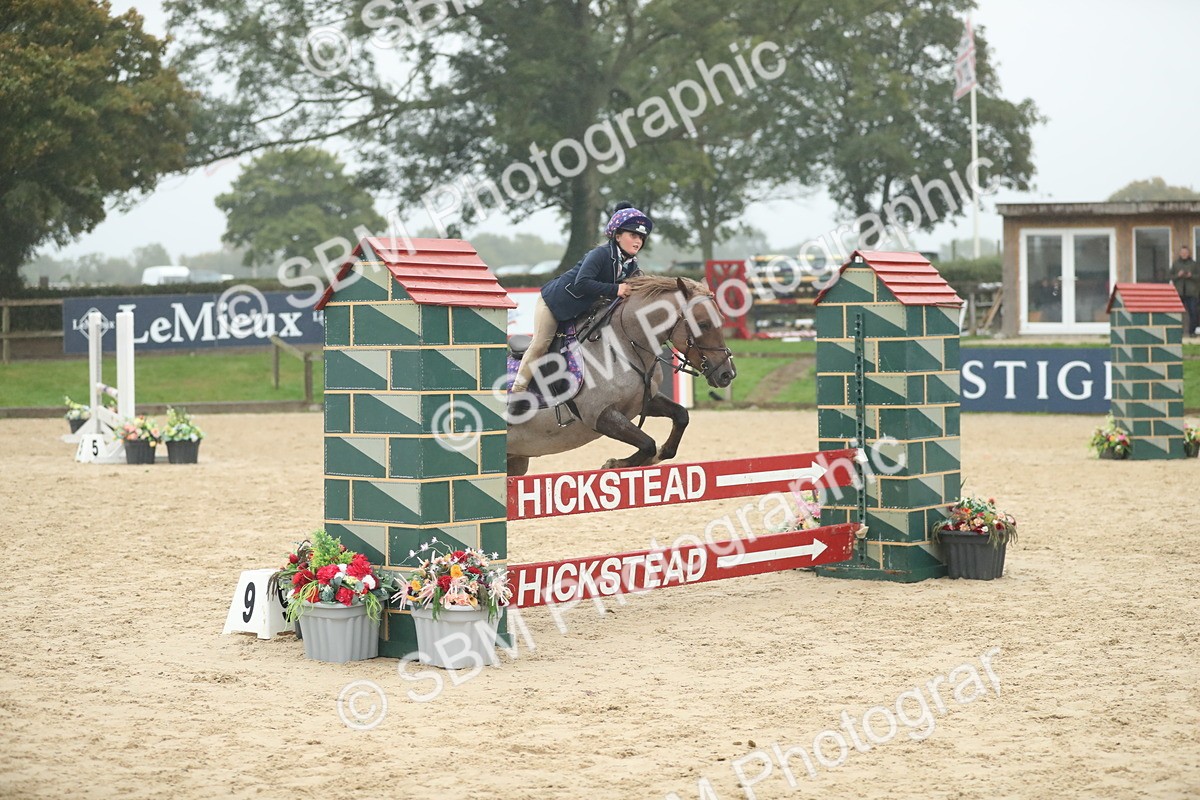 SBM_74250 - Supreme championship Junior Pony 70cm 75cm