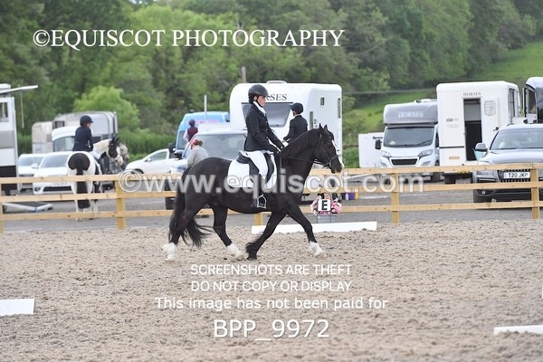 BPP_9972 - SHORT ARENA  MY QUEST PRELIM