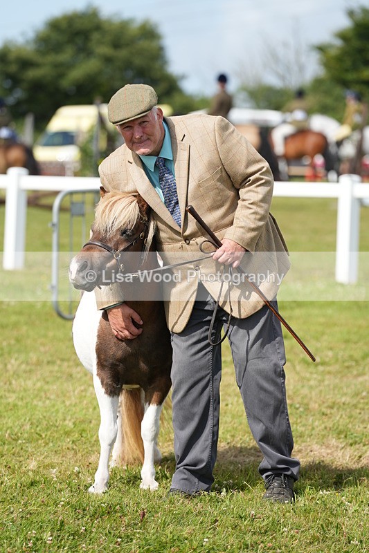 DSC05365 - Class 49: NPS Shetland 4 years and over
