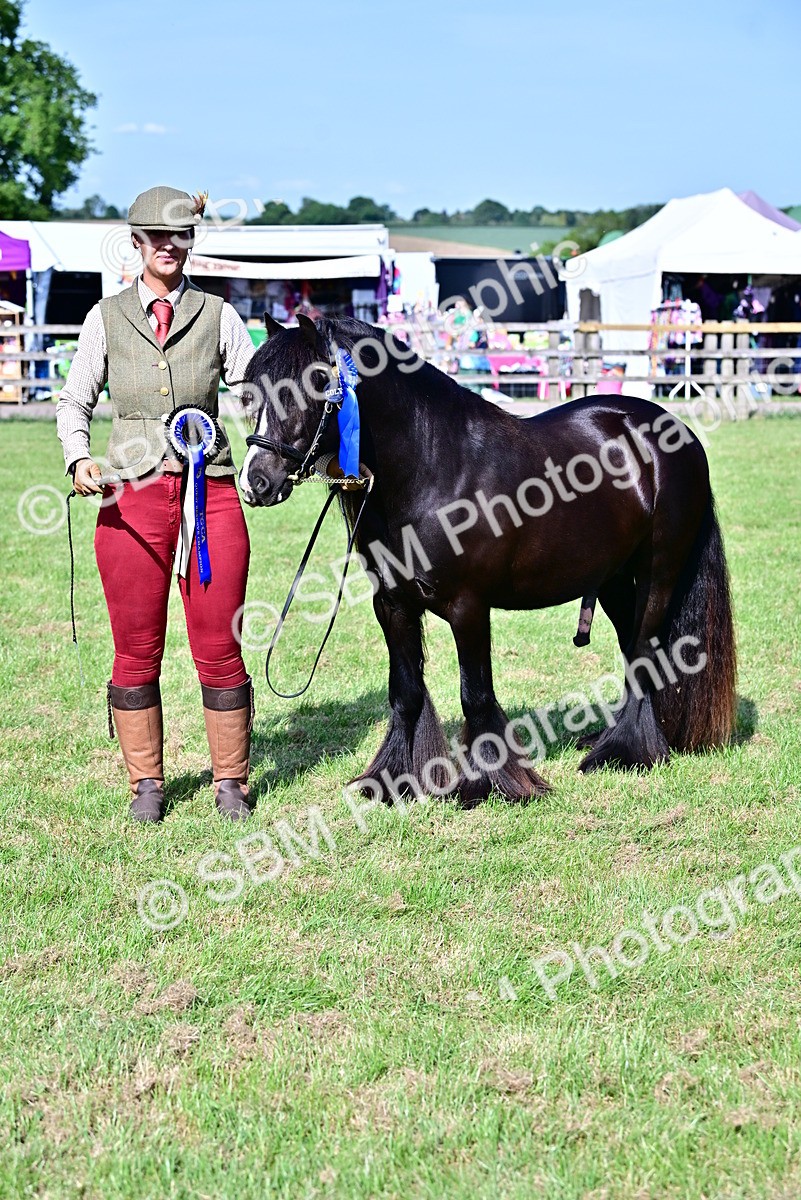 SBM_09493 - Class 63-65 - Traditional Gypsy Cobs In Hand & Ridden