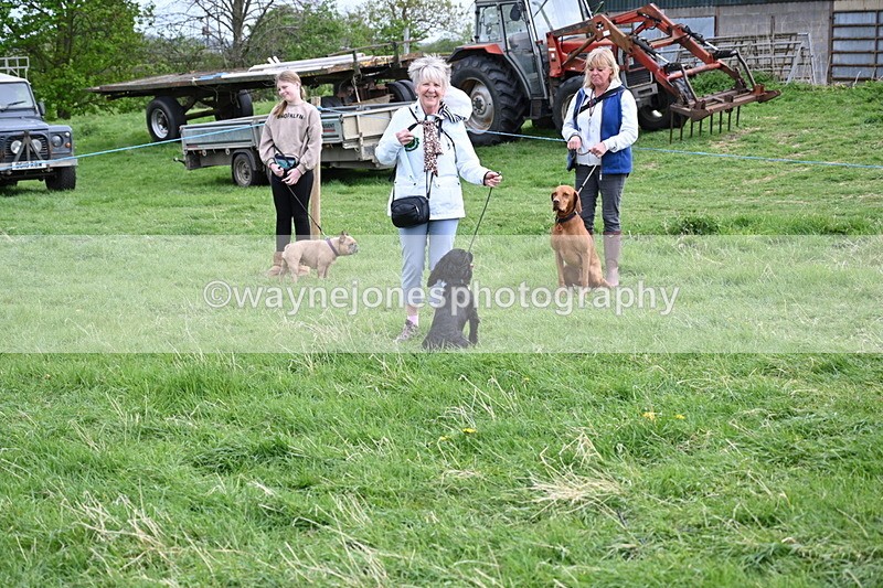 WJ6_8179 - Class 2 Best Pedigree