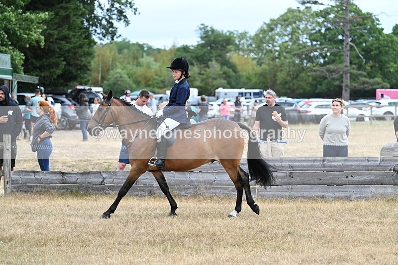 WJ7_7238 - Class 2 Best Rider