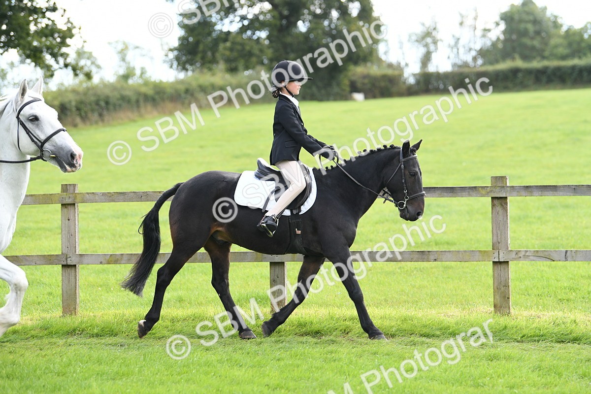 SBM_46729 - S12 - Family Horse & Pony