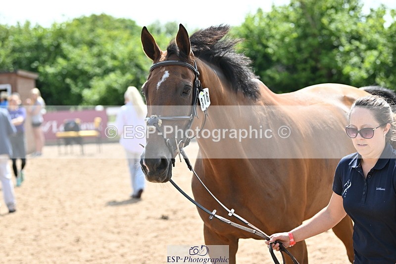 240717A-152035-02771 - Trot Up 3pm to 4pm