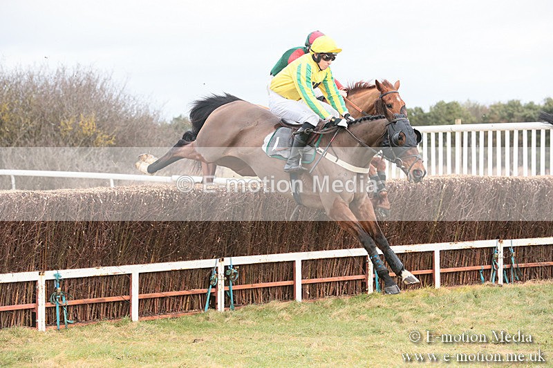 PtP 230119 55 - Royal Artillery Point-to-Point  - Larkhill  - 26/01/19