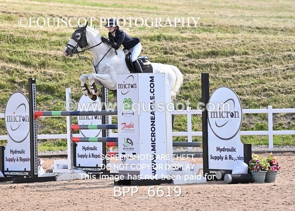 BPP_6619 - CLASS 13 FRI HOYS Talent Seeker Qualifier Inc 7 Year Old Horse Championship Qualifier
