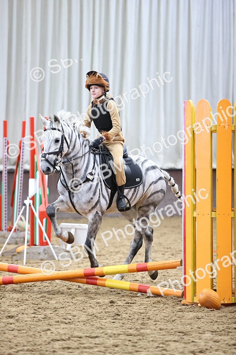 SBM_000652 - Class 2 - Show Jumping 50cm