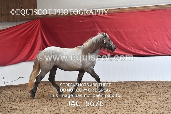JAC_5676 - 6 Glenmuir Niamh