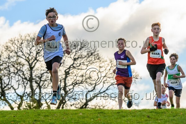 NatRel25-914121 - Young Male Set One