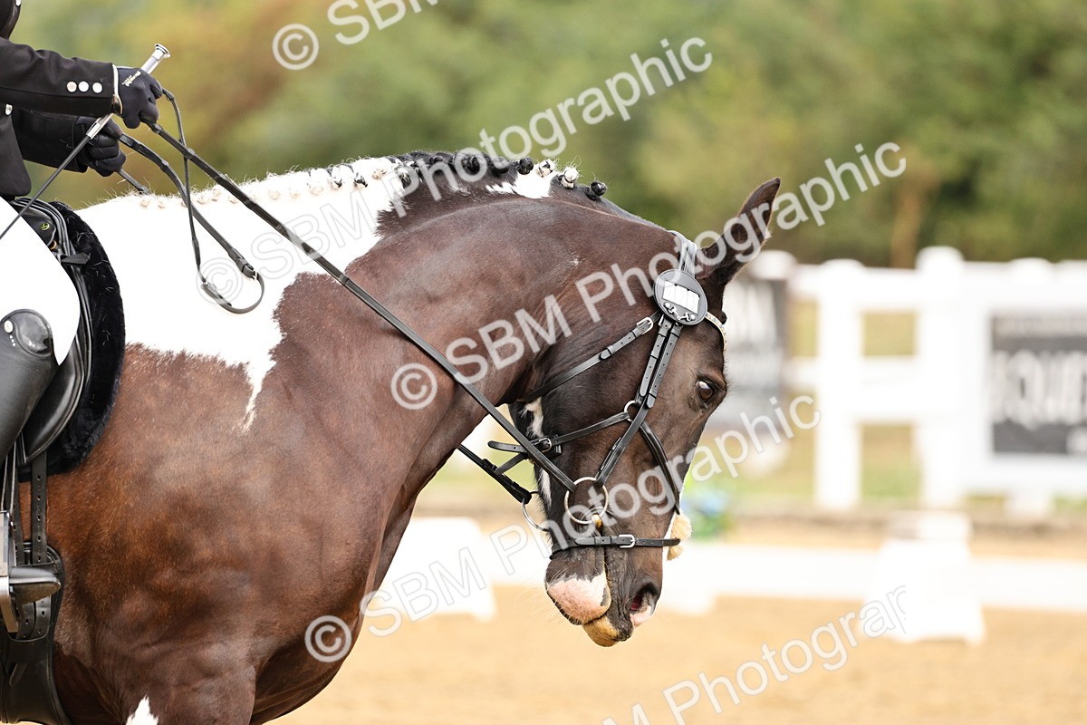 SBM_011400 - Class 1 - Prelim 4