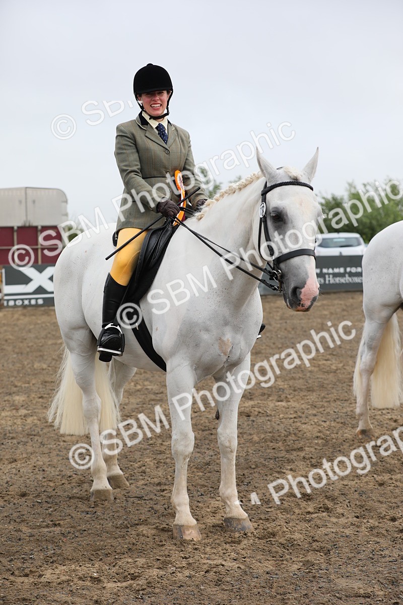 SBM_21401 - Class 805 - Ridden Veteran Horse
