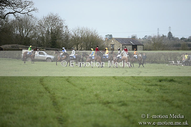 PtP 230319 228 - VWH Hunt Siddington Point-to-Point Racing 23/03/19