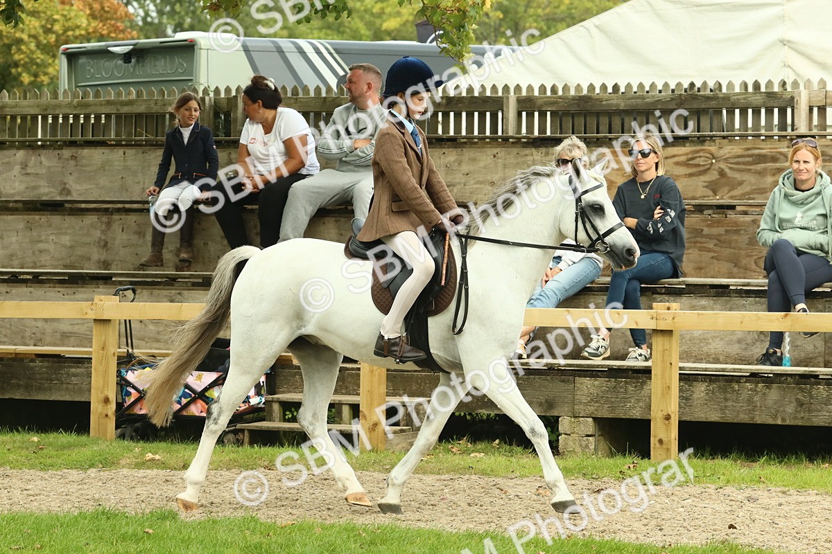 SBM_69917 - S59 - Mountain & Moorland Ridden Small Breeds