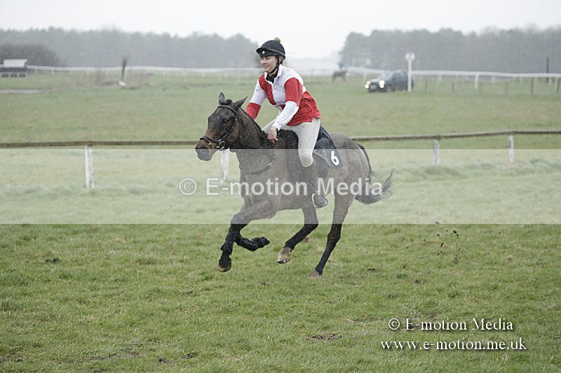 PtP 150320 0048 - New Forest Point-to-Point Larkhill 15/03/20
