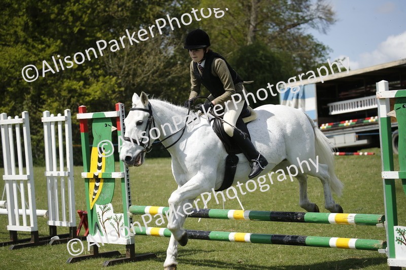 20250427-3651 - Class 14 - Absolute Novice 70cm