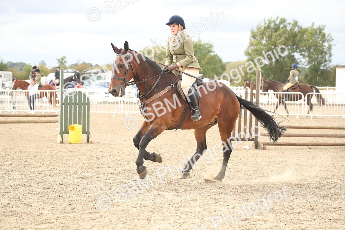 SBM_17881 - Class 508b - Working Veteran 70cm (20+)